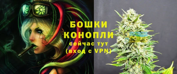 сатива Касимов